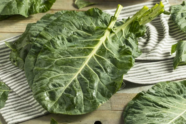 Verts verts bio crus de collard — Photo