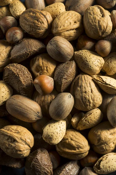 Whole Shelled Organic Mixed Nuts — Stock Photo, Image