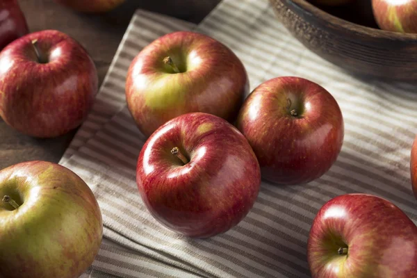 Manzanas Kiku rojas crudas ecológicas — Foto de Stock