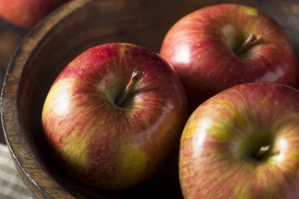 Syrové červené organické Kiku jablka — Stock fotografie
