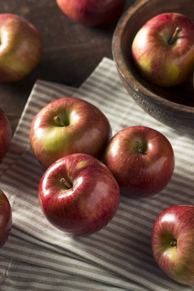 Raw Red Organic Kiku Apples — Stock Photo, Image