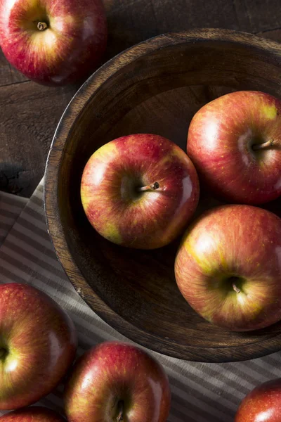 Syrové červené organické Kiku jablka — Stock fotografie