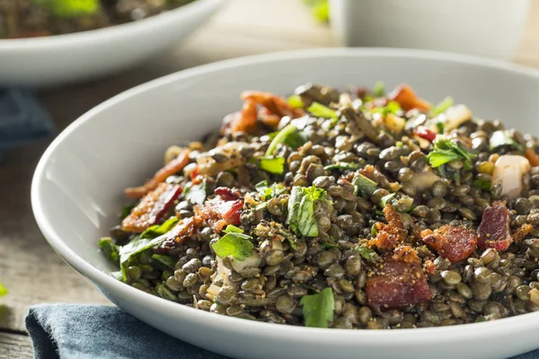 Ensalada de lentejas francesa saludable — Foto de Stock