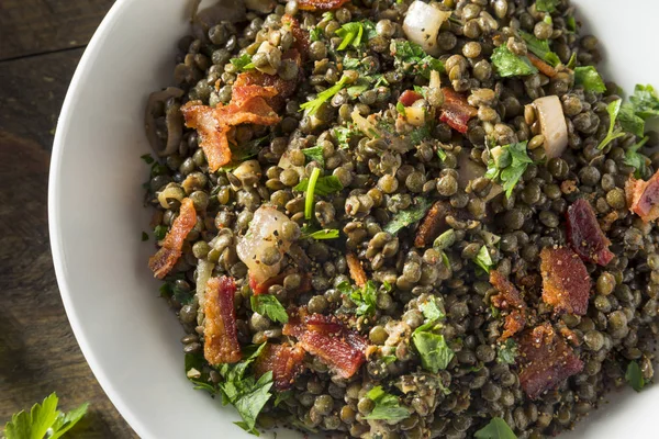 Salade de lentilles françaises santé — Photo