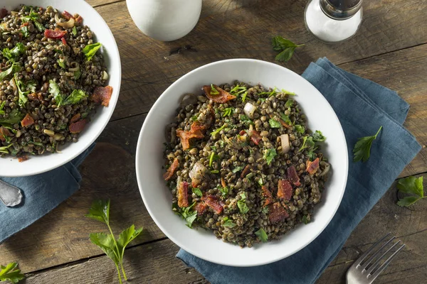 Salade de lentilles françaises santé — Photo