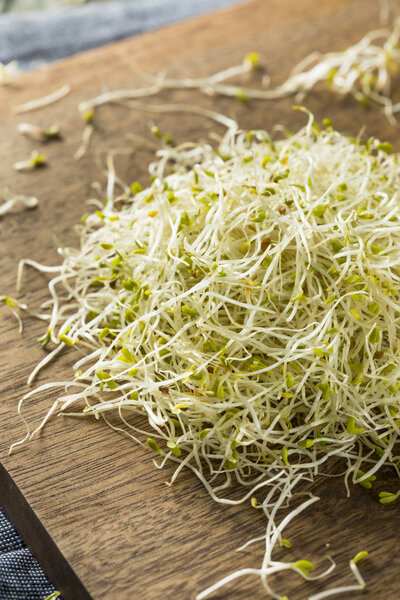 Raw Green Organic Alfalfa Sprouts
