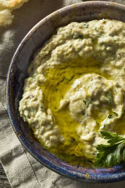 Lezzetli ev yapımı Akdeniz Baba Ganoush — Stok fotoğraf