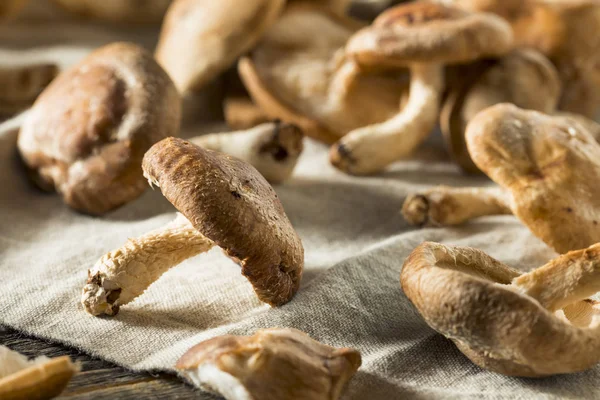 Здоровые органические свежие шиитакские грибы — стоковое фото