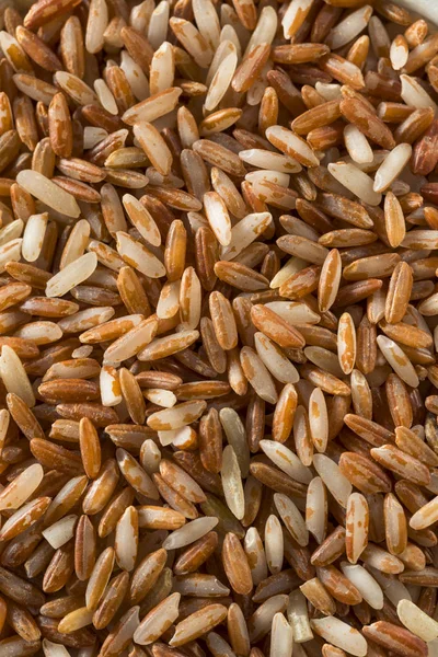 Raw bio červená rýže — Stock fotografie