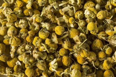 Çiğ sarı kurutulmuş organik papatya