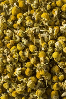 Çiğ sarı kurutulmuş organik papatya