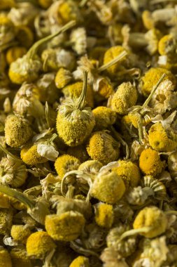 Çiğ sarı kurutulmuş organik papatya