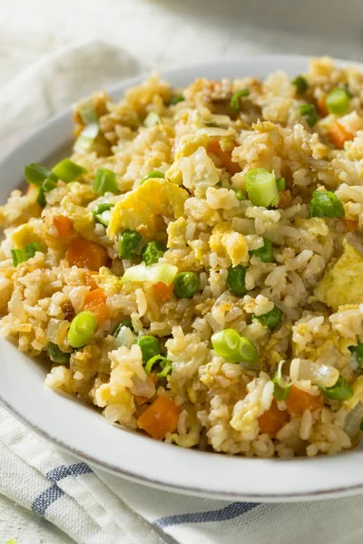 Домашний вегетарианский жареный рис — стоковое фото