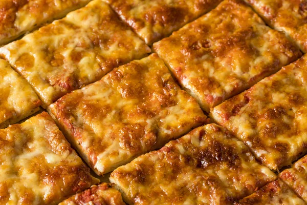 Delicious Homemade Cheese PIzza — Stock Photo, Image