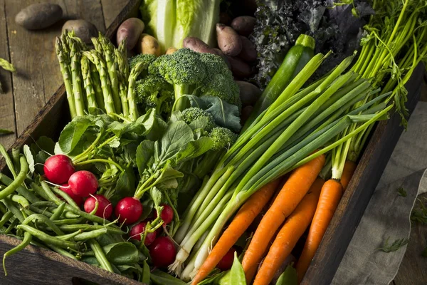 Mercado de agricultores de primavera orgánica cruda caja —  Fotos de Stock