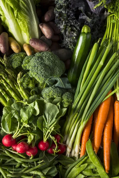 Marché paysan cru printemps bio Box — Photo