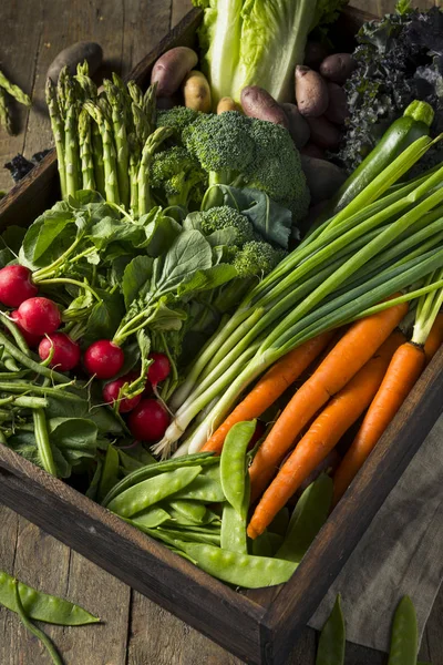 Mercado de agricultores de primavera orgánica cruda caja —  Fotos de Stock