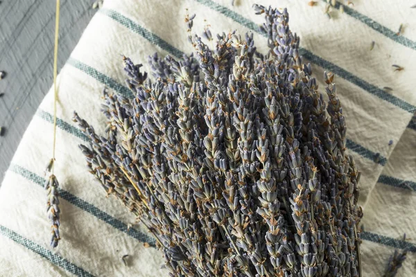 Органічні Purple сухий лаванди — стокове фото