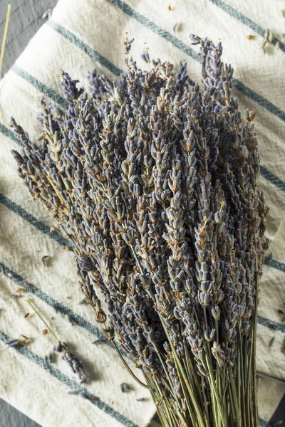 Органічні Purple сухий лаванди — стокове фото