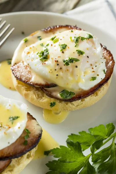 Homemade Eggs Benedict with Bacon — Stock Photo, Image