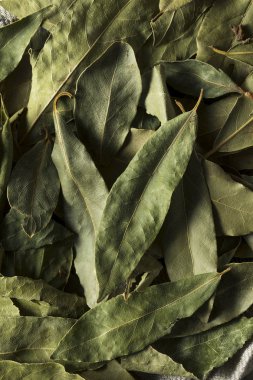 Ham kuru organik defne yaprakları