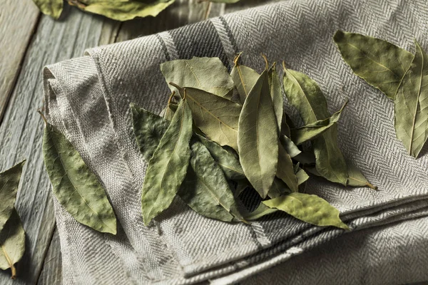 Ham kuru organik defne yaprakları — Stok fotoğraf