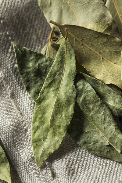 원료 건조 유기 월계수 잎 — 스톡 사진