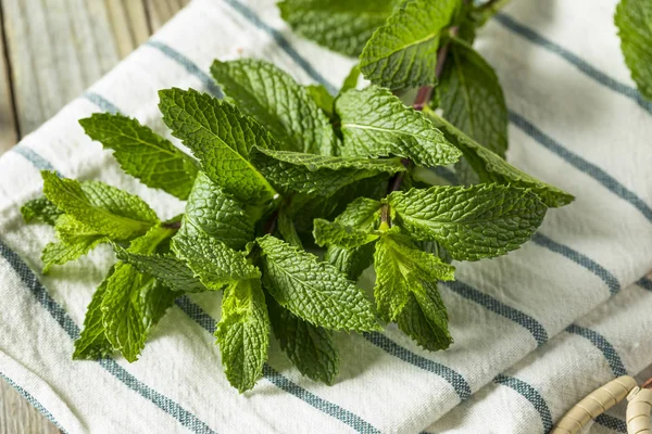 Hojas de menta fresca orgánica verde cruda — Foto de Stock