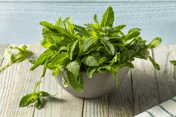 Hojas de menta fresca orgánica verde cruda — Foto de Stock