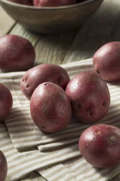 Patatas ecológicas rojas crudas — Foto de Stock