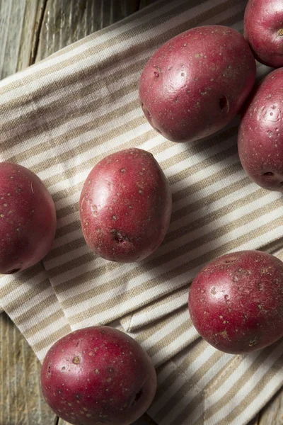 Patatas ecológicas rojas crudas — Foto de Stock