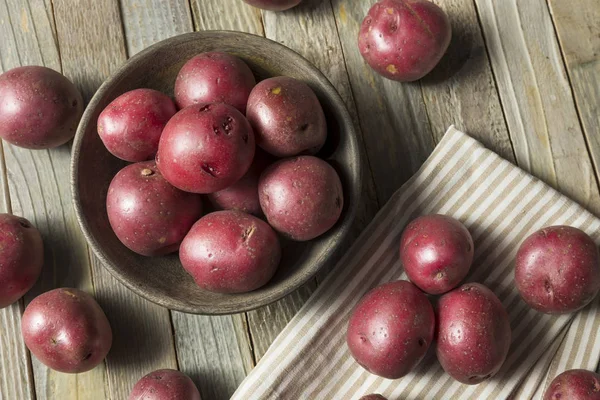 Сирий червоний органічних картопля — стокове фото