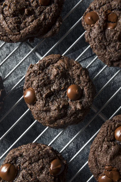 Homemade Dark Double Chocolate Chip Cookies — Stock Photo, Image