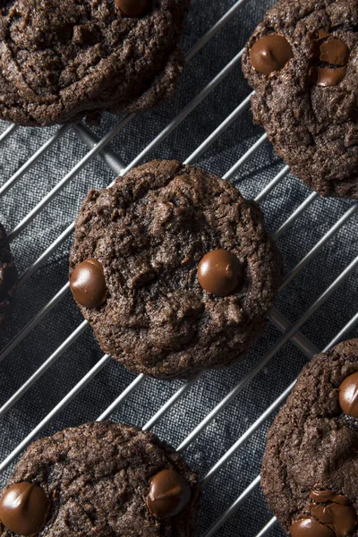 Hemmagjord mörka Double Chocolate Chip Cookies — Stockfoto