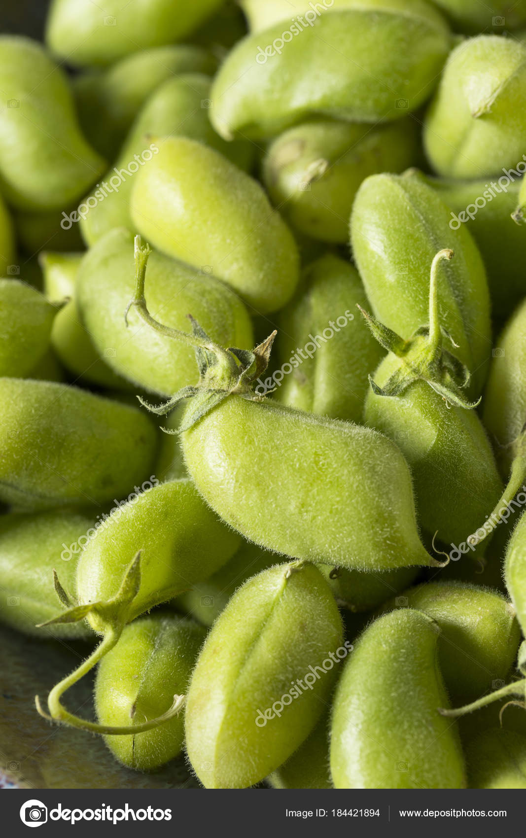 Raw Green Organic Garbanzo Beans — Stock Photo © bhofack2 184421894