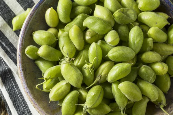 Rauwe groene biologische Garbanzo bonen — Stockfoto