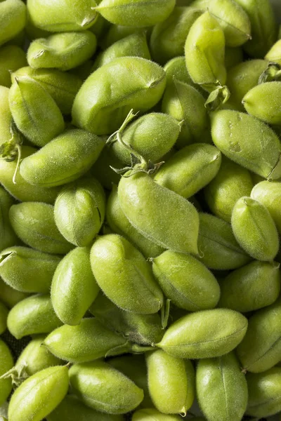 Granos de Garbanzo ecológicos crudos — Foto de Stock