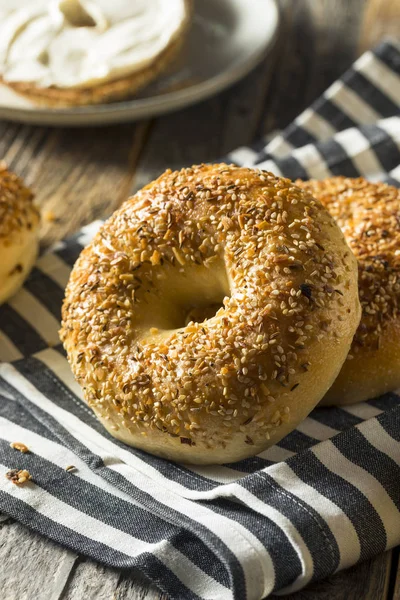 Round Warm Everything Bagels — Stock Photo, Image