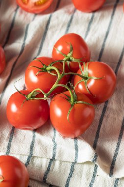 Taze organik kırmızı domates