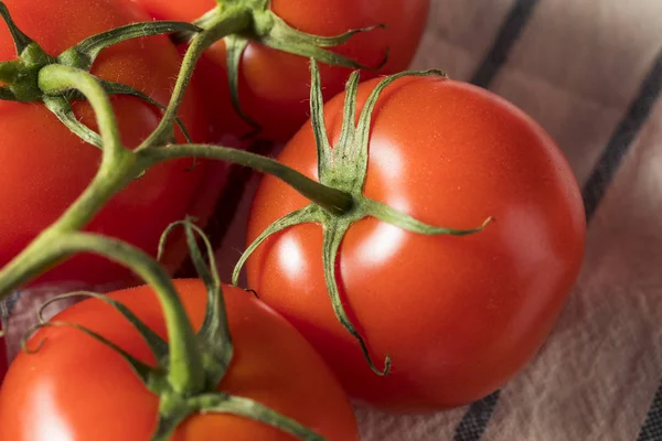 Frische rote Bio-Tomaten — Stockfoto