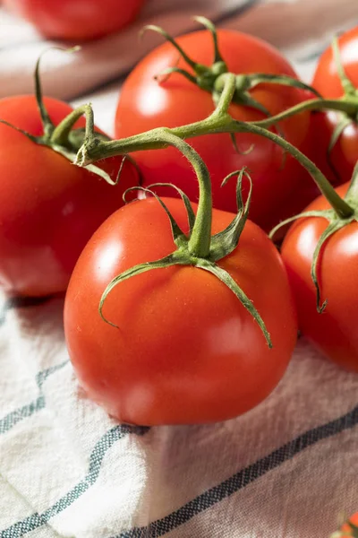 Frische rote Bio-Tomaten — Stockfoto