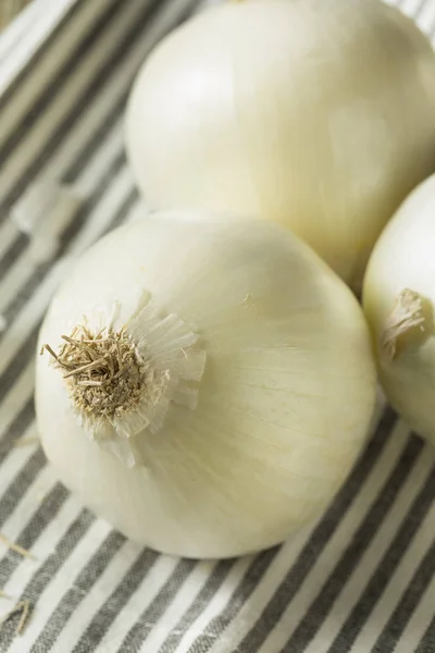 Cebollas blancas orgánicas crudas —  Fotos de Stock
