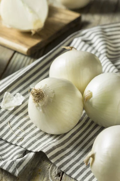 Rauwe biologische witte uien — Stockfoto