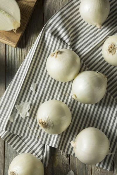 Cebollas blancas orgánicas crudas — Foto de Stock