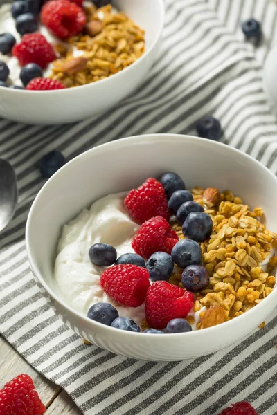 Iogurte Grego Orgânico Saudável com Granola e Bagas — Fotografia de Stock