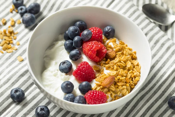 Yogur griego orgánico saludable con granola y bayas —  Fotos de Stock