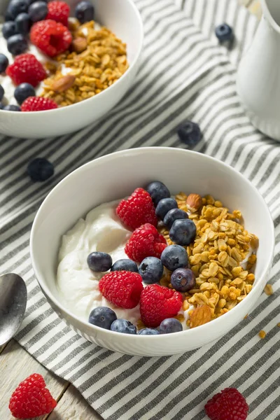Здоровый органический греческий йогурт с гранолой и ягодами — стоковое фото