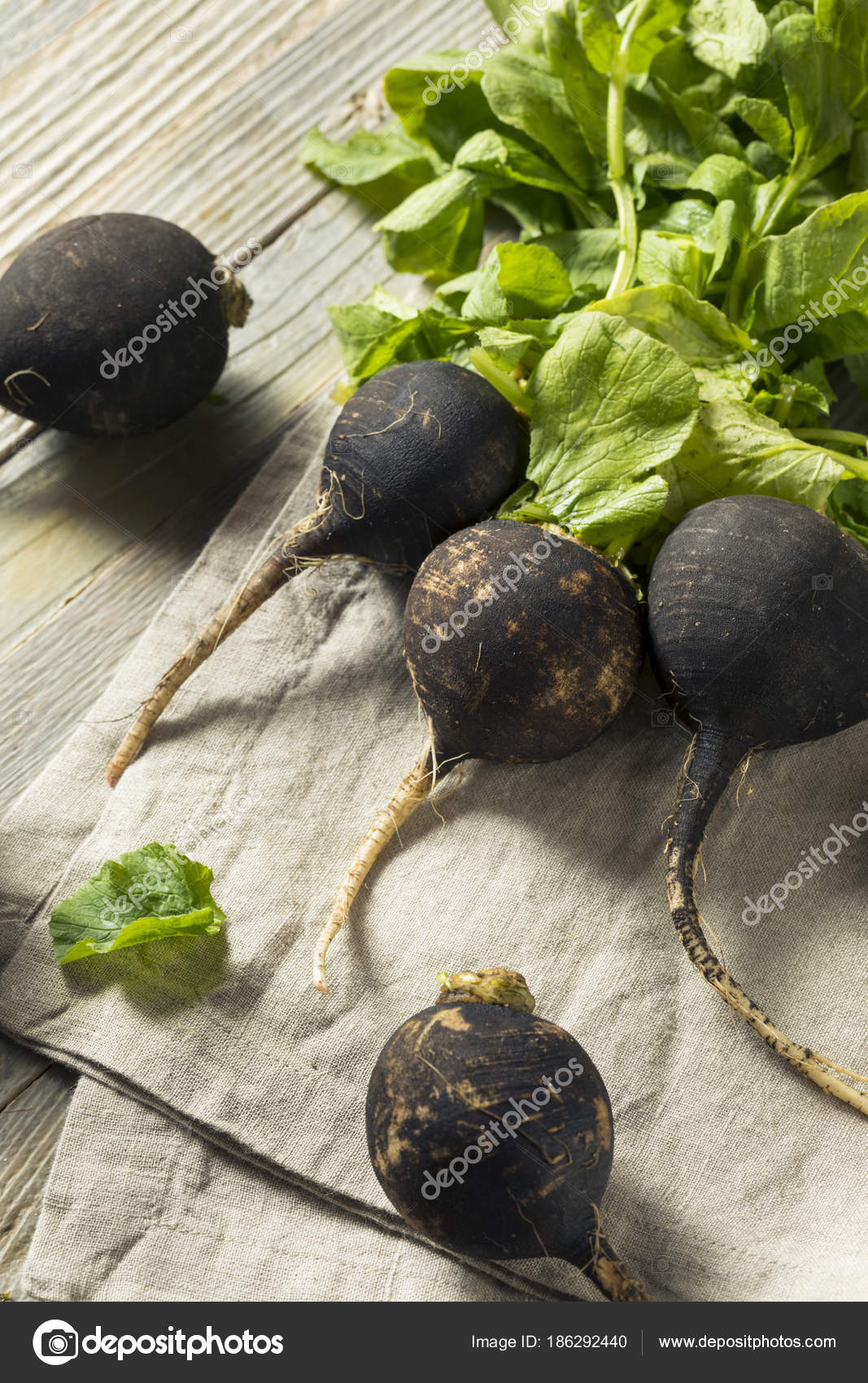 Siyah turp kürü Siyah turp kürü