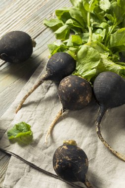 Organik çiğ siyah turp