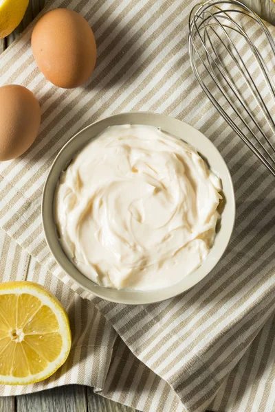 Hälsosam ekologisk hemlagad majonnäs — Stockfoto